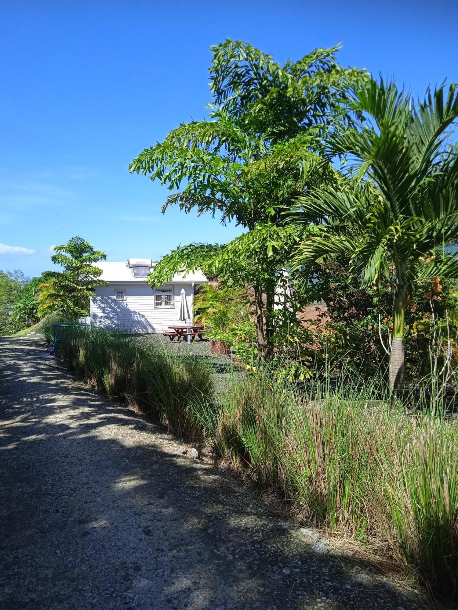 Dadi'S Little Paradis ซานต์-โรส ภายนอก รูปภาพ