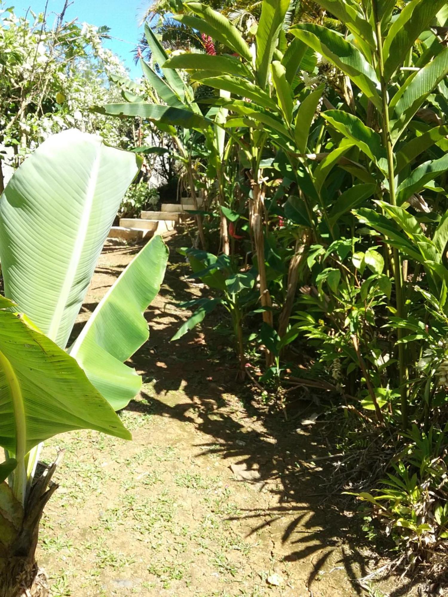 Dadi'S Little Paradis ซานต์-โรส ภายนอก รูปภาพ