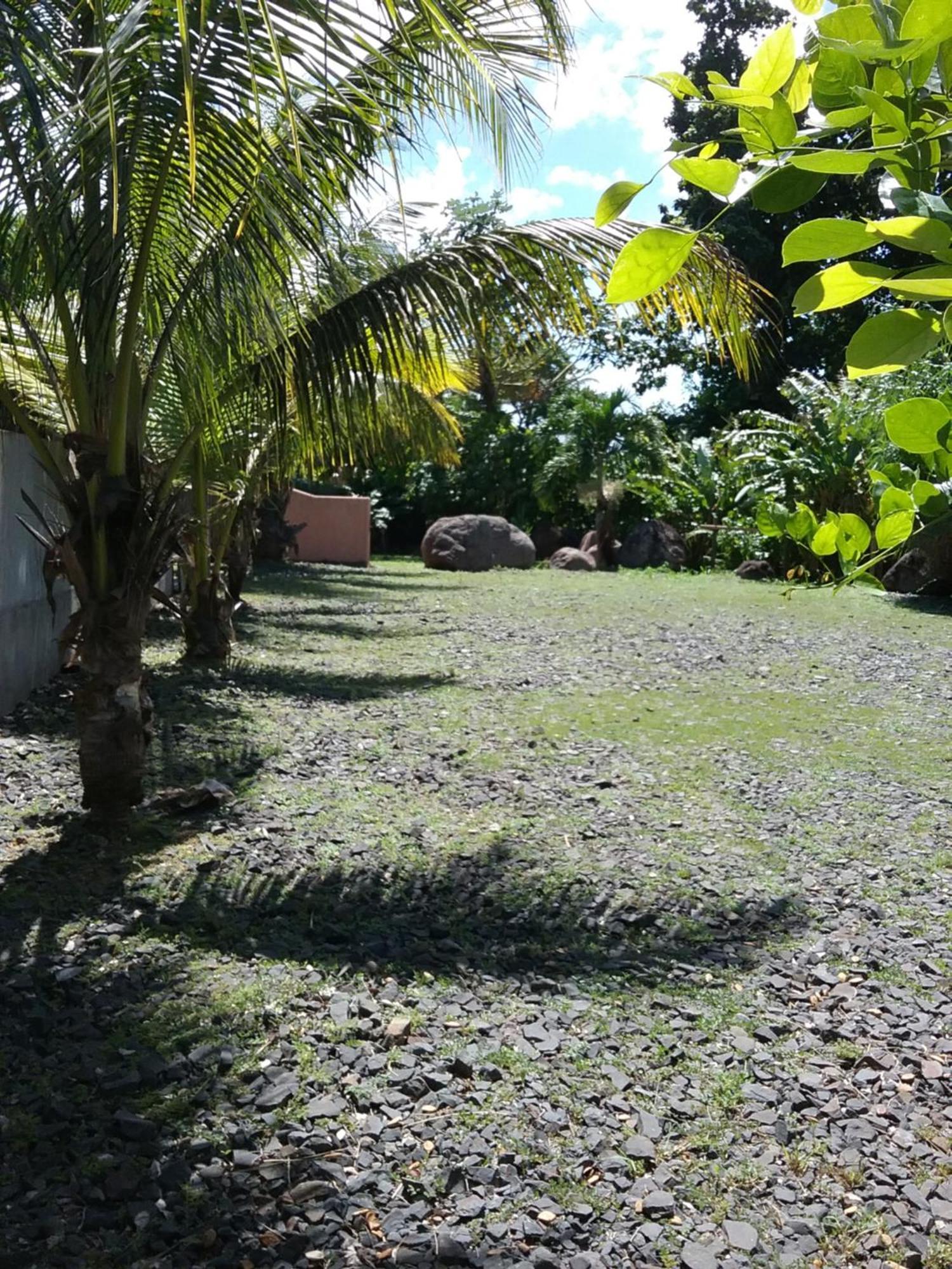Dadi'S Little Paradis ซานต์-โรส ภายนอก รูปภาพ