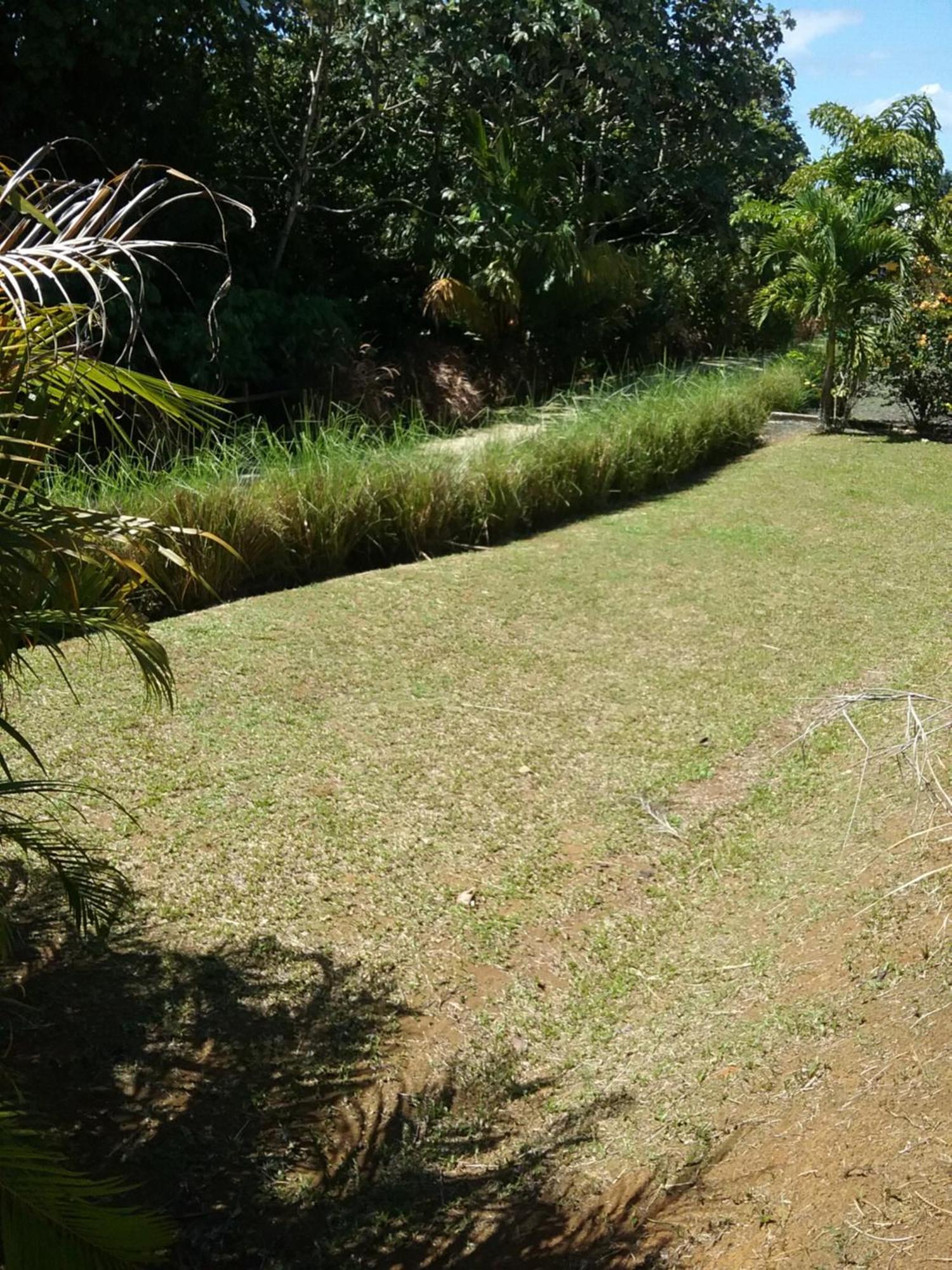 Dadi'S Little Paradis ซานต์-โรส ภายนอก รูปภาพ