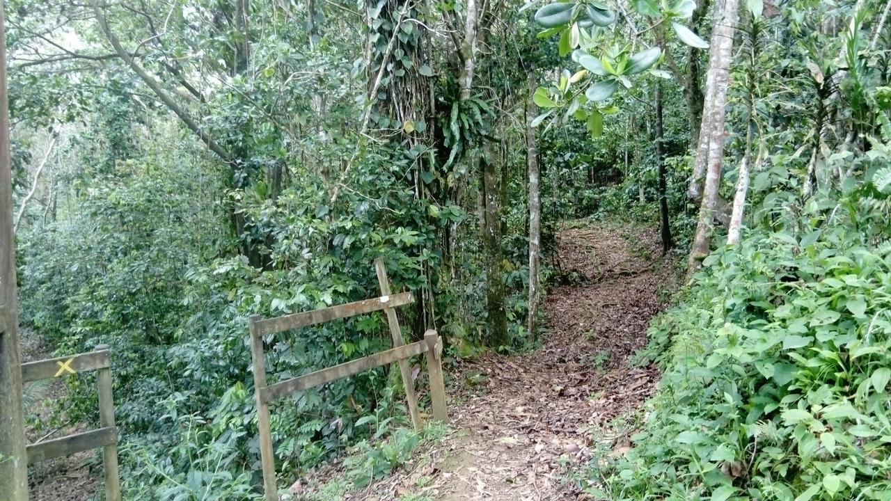 Dadi'S Little Paradis ซานต์-โรส ภายนอก รูปภาพ